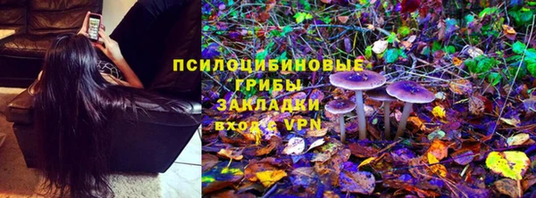стафф Абдулино