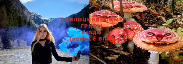 стафф Абдулино