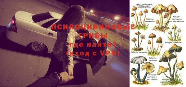 стафф Абдулино