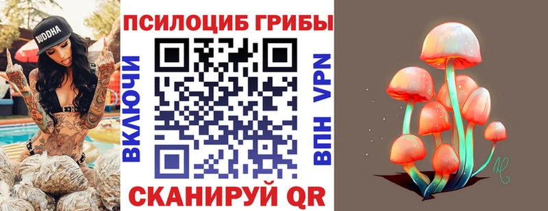 Псилоцибиновые грибы мицелий  блэк спрут ONION  Магнитогорск 