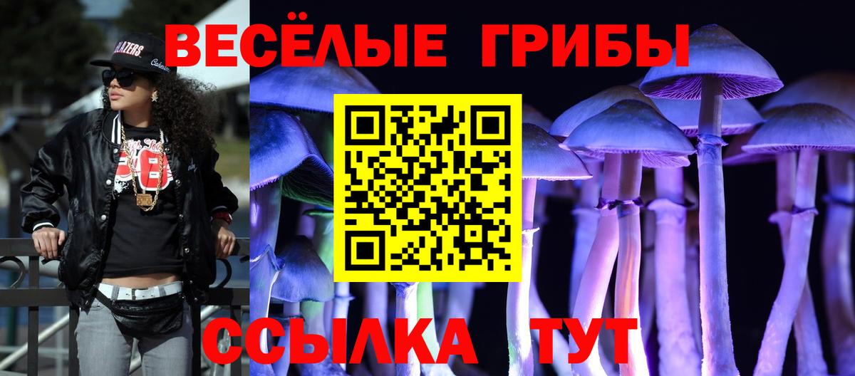 Галлюциногенные грибы MAGIC MUSHROOMS  Вход с VPN  Магнитогорск  Псилоцибиновые грибы MAGIC MUSHROOMS 
